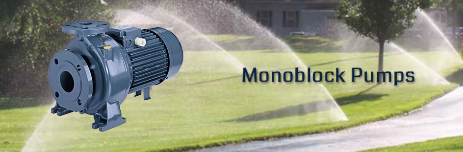 Monoblock Pumps