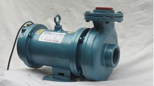 Picture of Submersible Mono Set Pump PS/CI/ 1.5HP 415V
